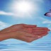 butterfly_flying_free_from_cupped_hands-e1340160959238